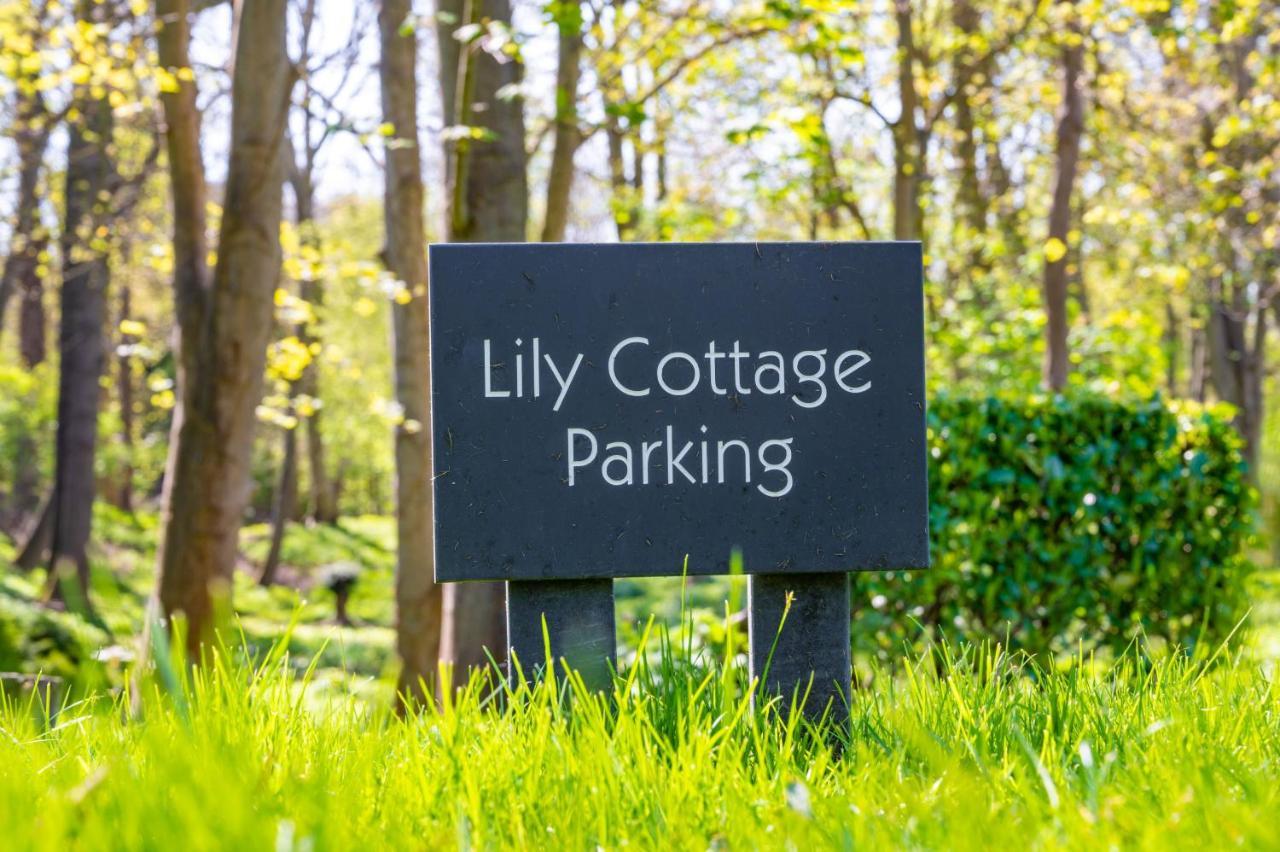 Lily Cottage By Big Skies Cottages Little Walsingham Εξωτερικό φωτογραφία